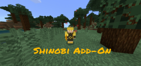 Shinobi Add-on