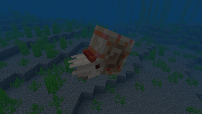 Nautilus Minecraft Pe Addon