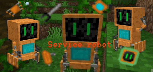 Service Robot |