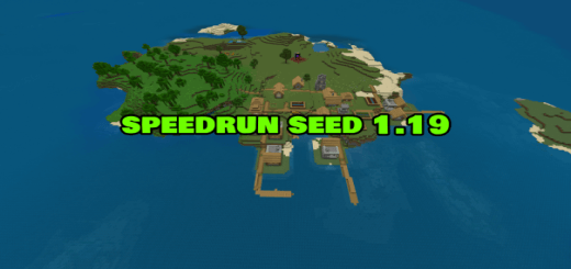 First Minecraft 1.19 Speedrun