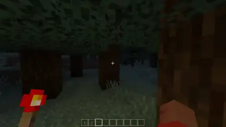 Dynamic Torchlight | Minecraft Addon